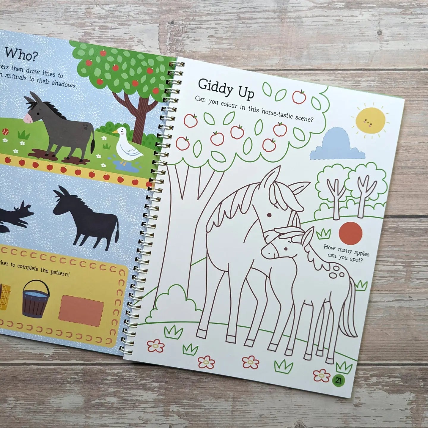 Big Sticker Activity Book -Farm