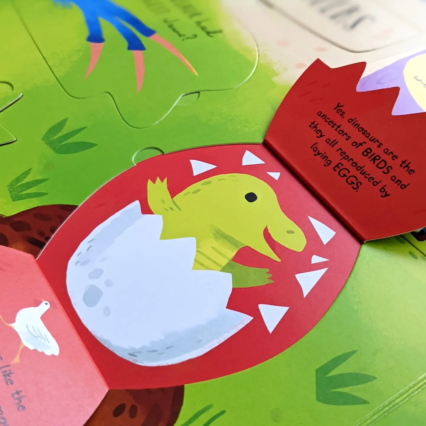 Large Question and Answer Flap Book - Dinosaurs