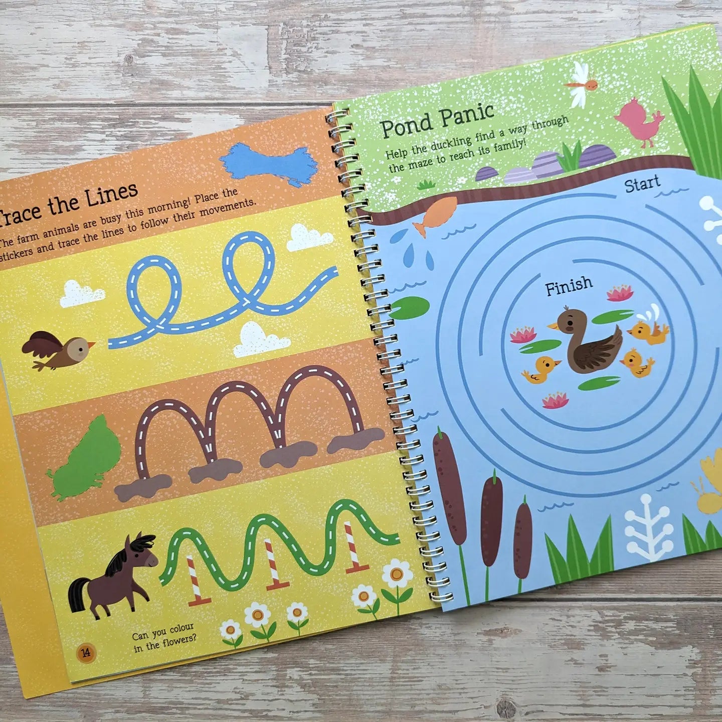 Big Sticker Activity Book -Farm