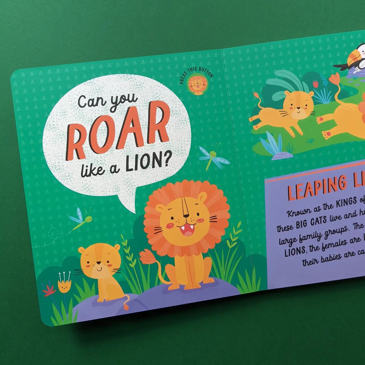 10 Button Sound Book - Let's Roar