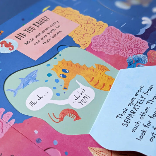 Large Question and Answer Flap Book - Animal