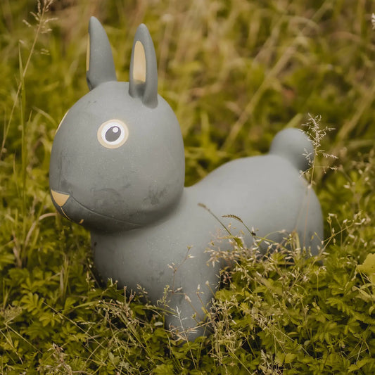 Hopping animal- Rabbit