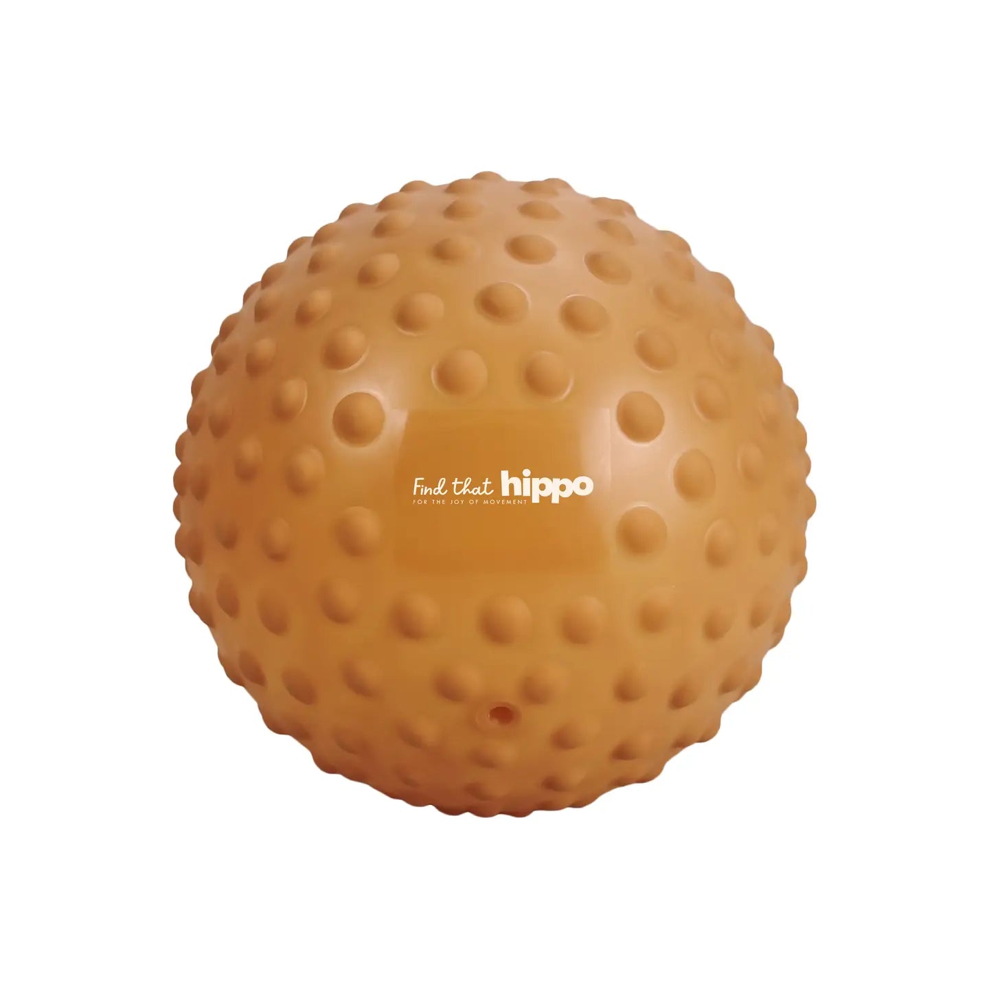 Large sensory ball