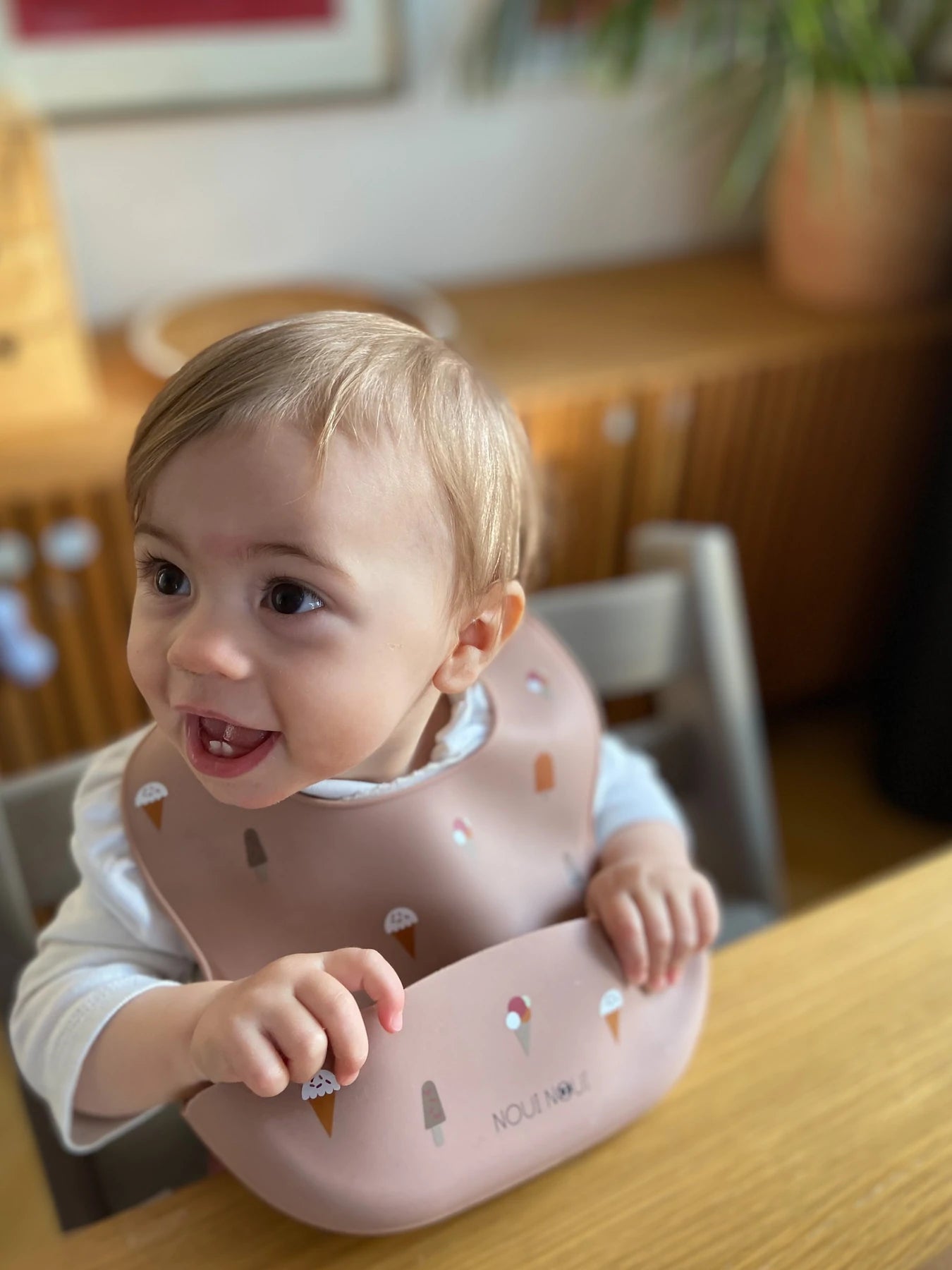 Noui Noui Ice Cream Rosa Silicone Bib