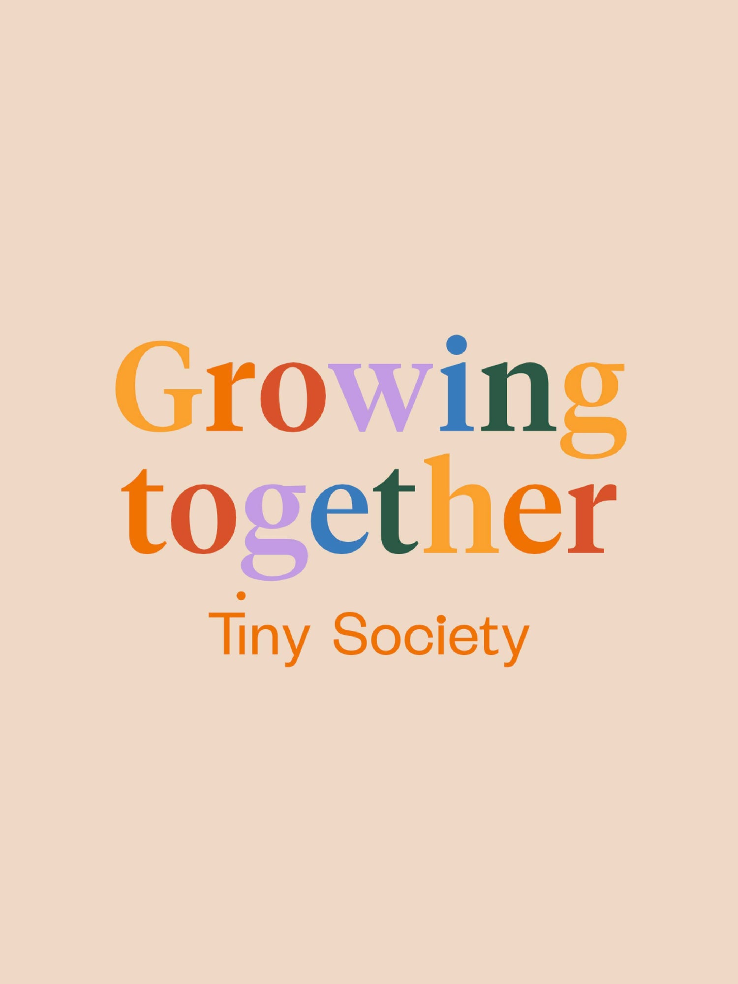 Tiny Society Workshops