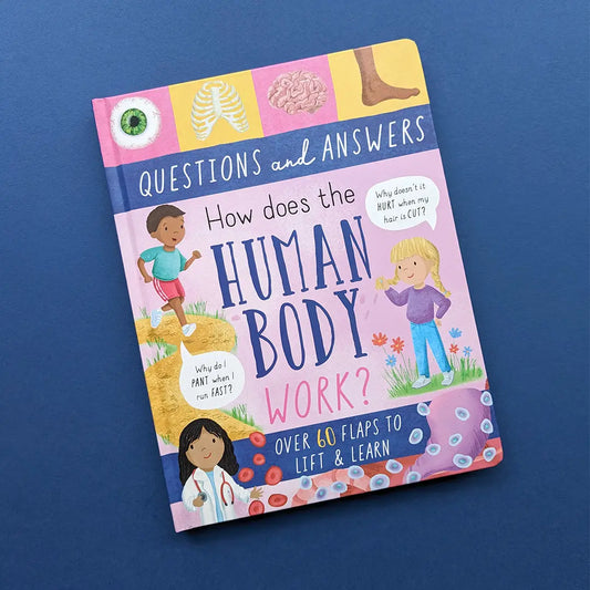 Large Question and Answer Flap Book - Human Body