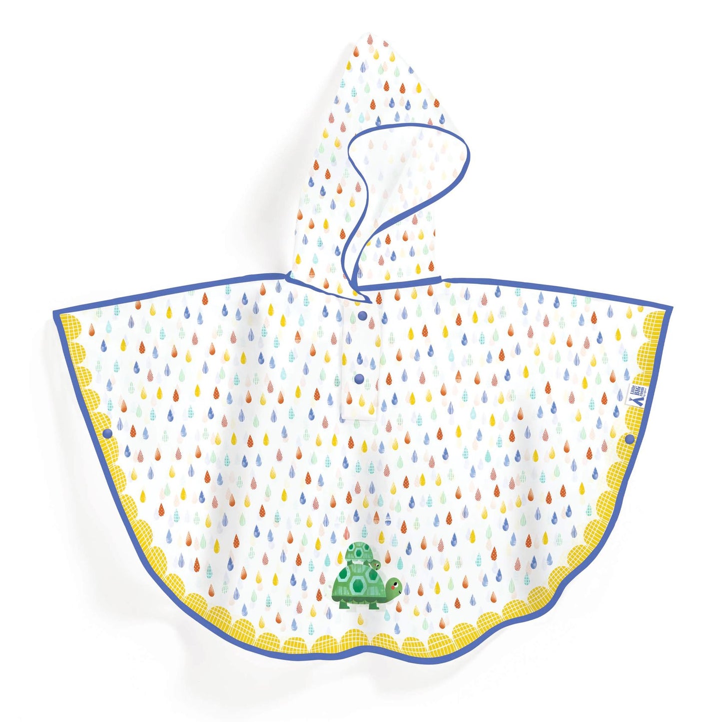 Rain cap Turtle